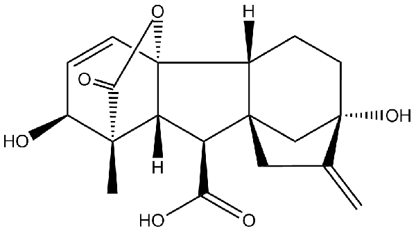 赤霉素GIBBERELLIC ACID，居然有這么神奇？